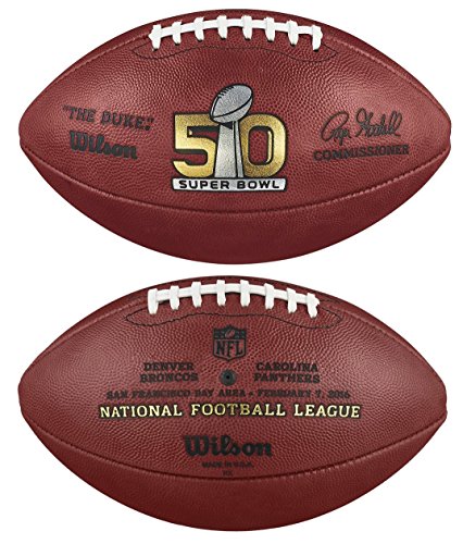 Authentic Official Football Panthers Inscribed