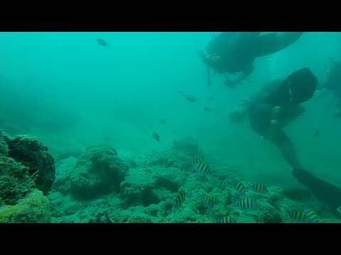 Scuba Diving in India | Extreme Sports India |