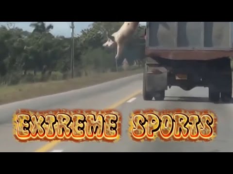 EXTREME SPORTS Video 17