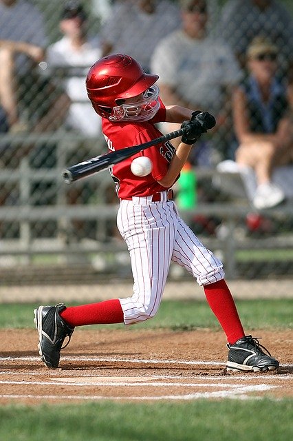 Everything You Have Always Wanted To Know About Baseball