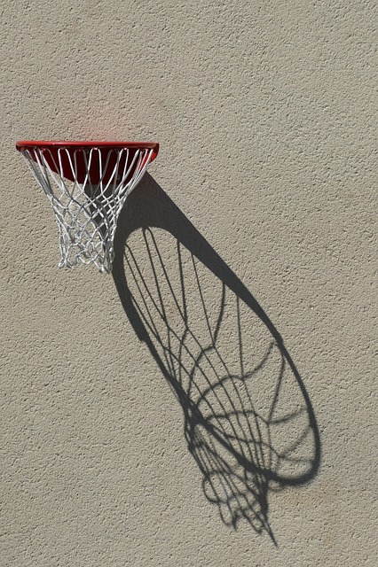 Want Fast Access To Great Ideas On Basketball? Check This Out!