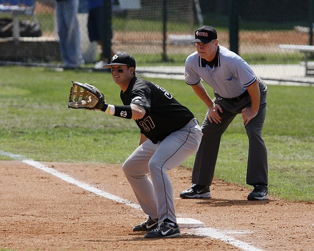 Everything You Have Always Wanted To Know About Baseball