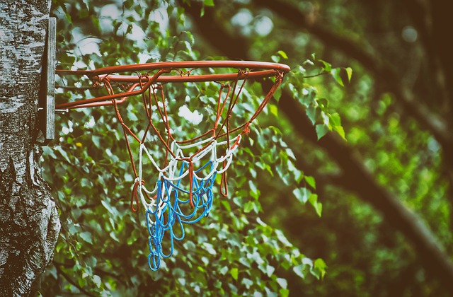 Want Fast Access To Great Ideas On Basketball? Check This Out!