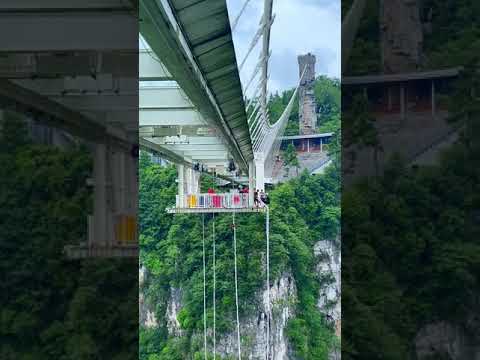 bungee jumping丨Extreme sports  #Bungee jumping