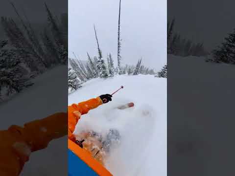 powder and tree skiing in Jackson! #skiing #powderday #Jacksonhole #extremesports