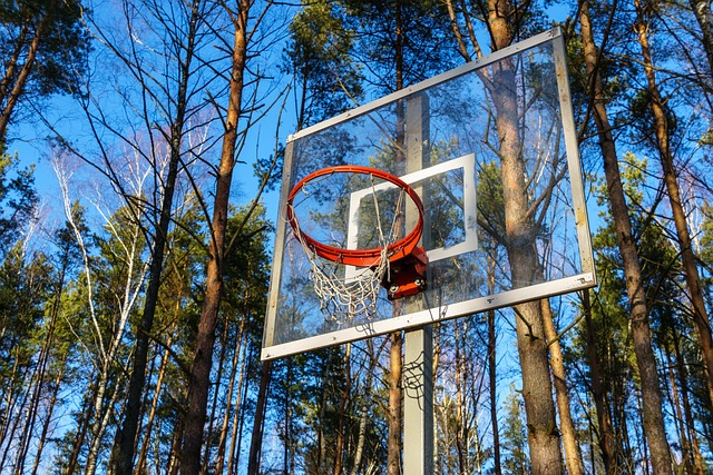 What You Have Always Wanted To Know About Basketball