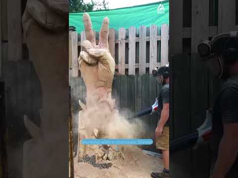 Man Makes Epic Carving With Chainsaw | People Are Awesome #extremesports #shorts #peopleareawesome