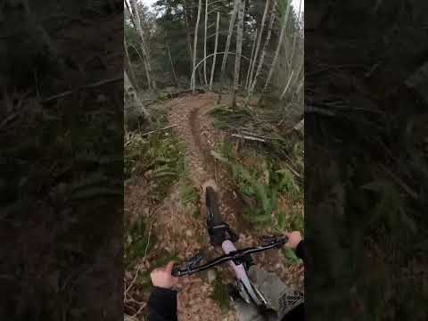 Stumps will get ya! #mtb #extremesports #freeride #pov #squamish #bikelife