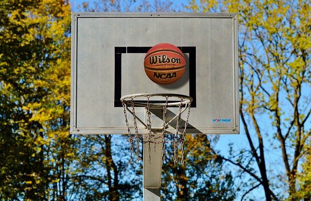In A Hurry To Learn More Regarding Basketball? These Tips Are For You