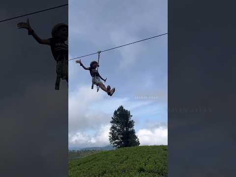 Zip Line | Flying Fox | Adventure Sports | Tourism |#shortsfeed #shortsvideo #allwinjilly